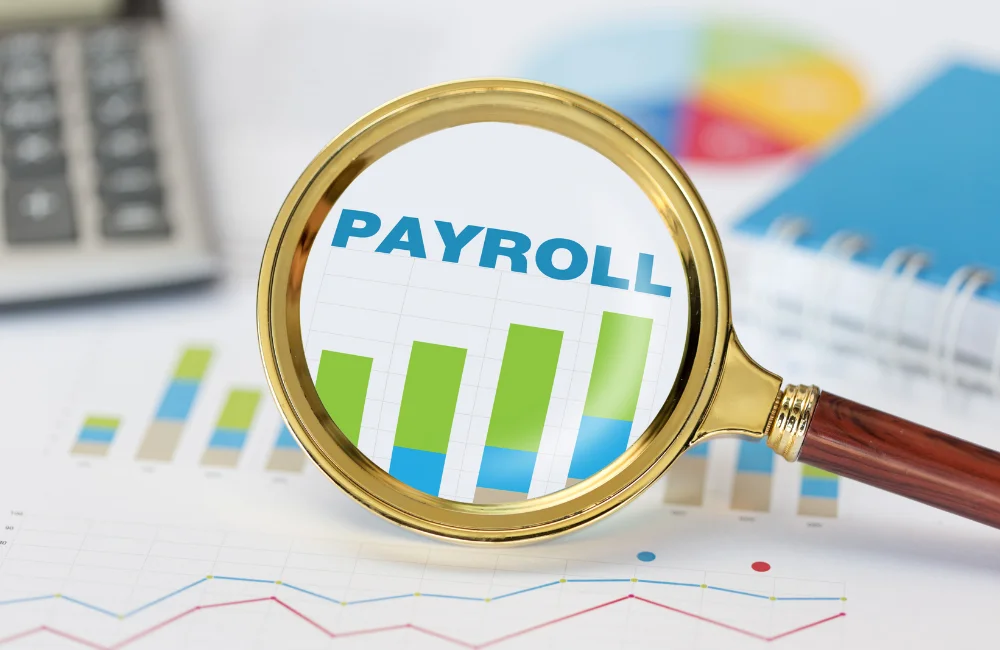 Payroll Robot AI